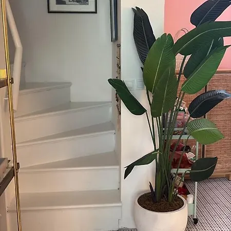 Apartamento Palm *