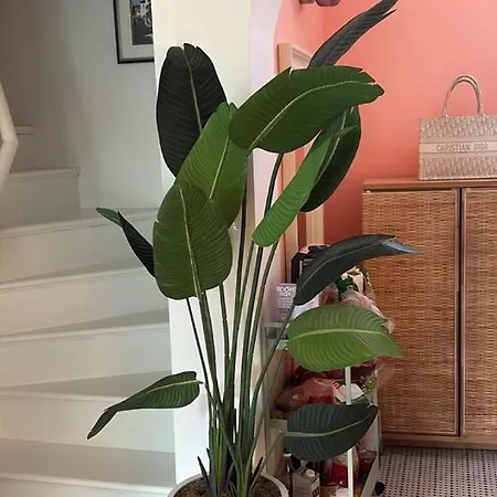 Apartamento Palm *